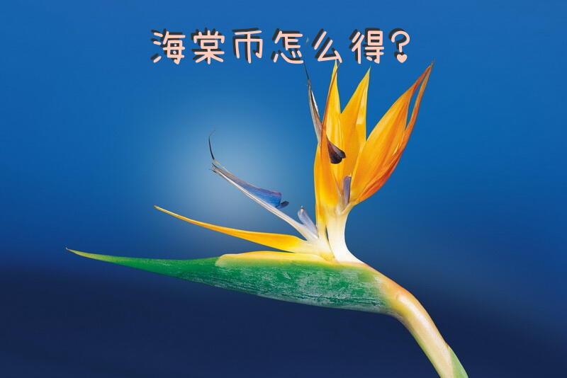 海棠币怎么得？