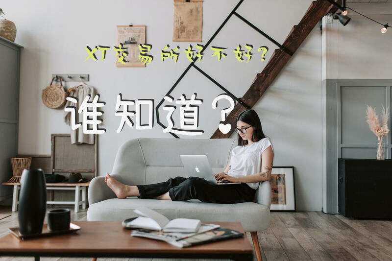 XT交易所好不好？谁知道？