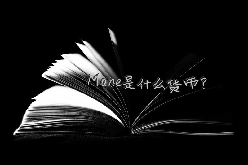 Mane是什么货币？