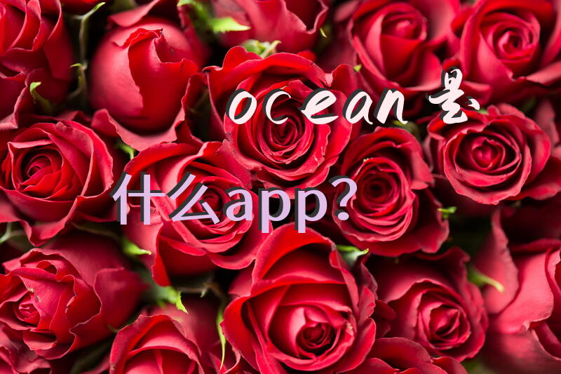 ocean是什么app？